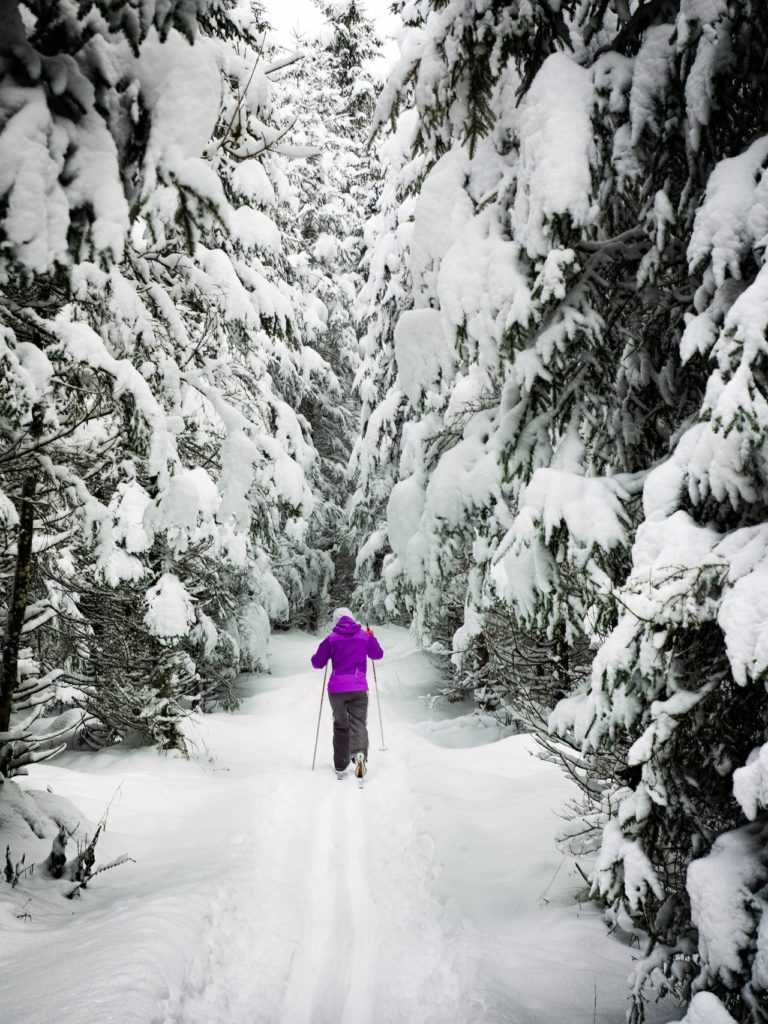 Świetne zorganizowane wyjazdy na narty i snowboard