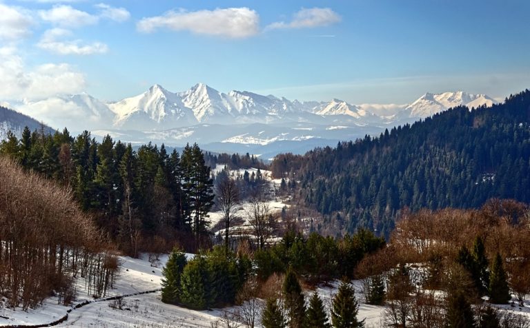 Apartamenty zakopane – komfortowy wypoczynek w malowniczej scenerii